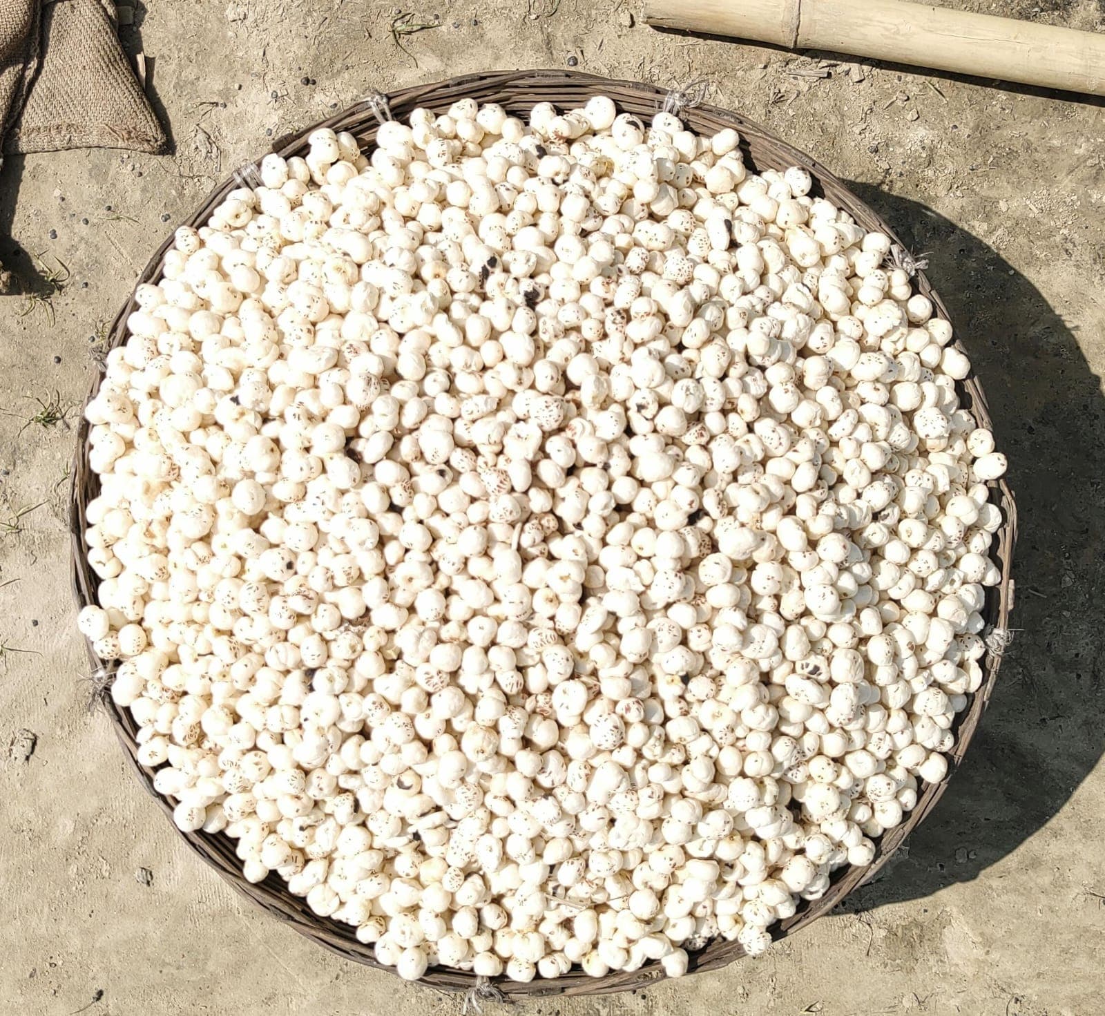 Sun-drying makhana